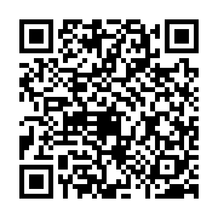 QR code for I313681
