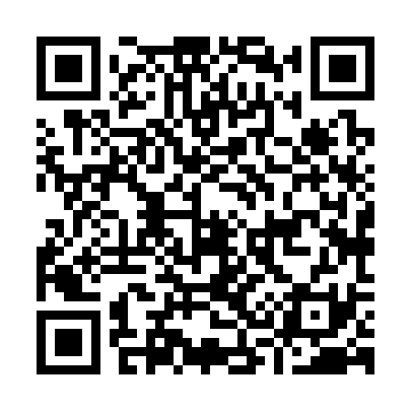 QR code for I38331