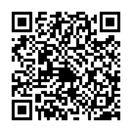 QR code for I384919