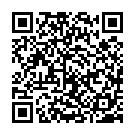 QR code for I38515