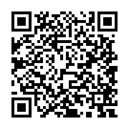 QR code for I445497