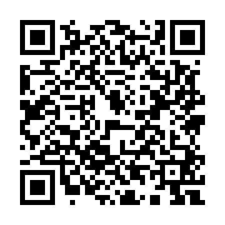 QR code for I495407