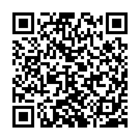QR code for I51311