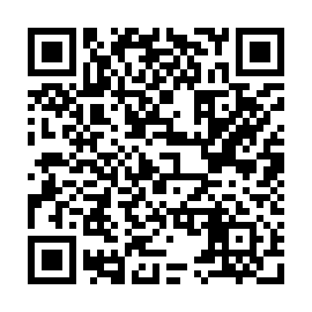 QR code for I53911
