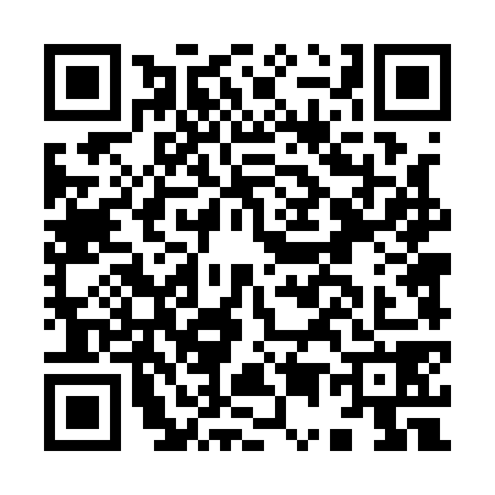QR code for I541781