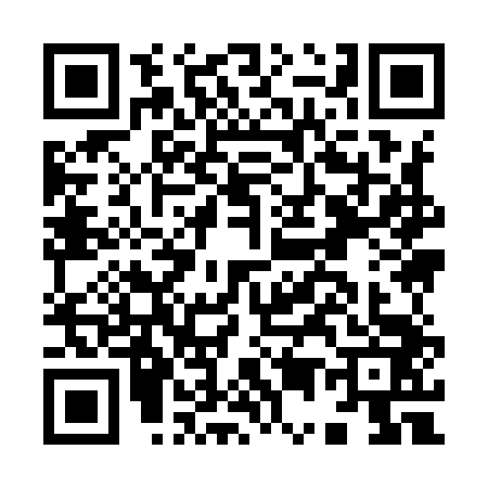 QR code for I599431