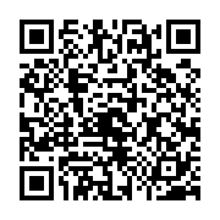 QR code for I745306