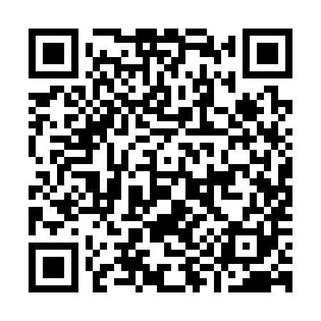 QR code for I91381