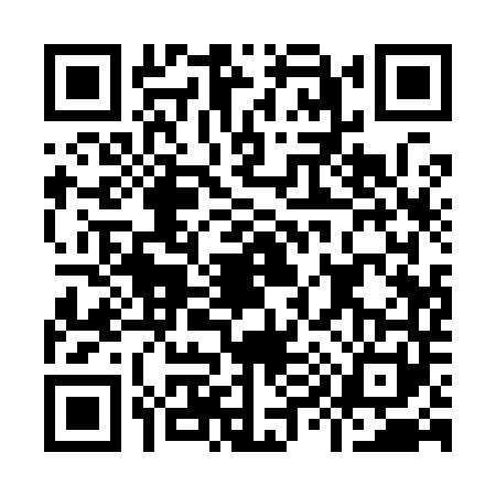 QR code for I919418