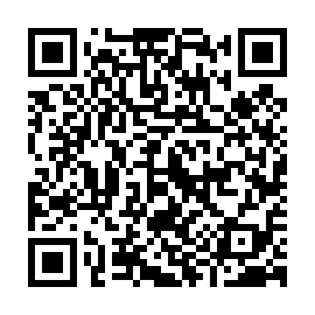 QR code for I96419