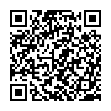 QR code for IAU263