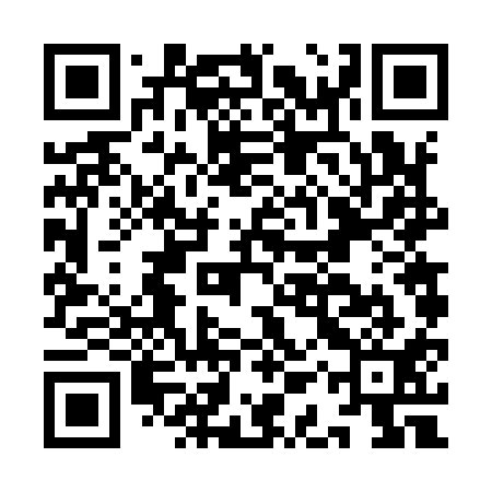 QR code for IAV911