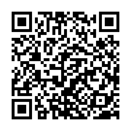 QR code for IC0238