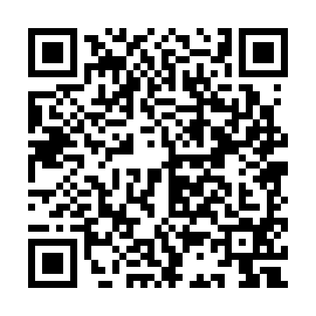 QR code for IC03947