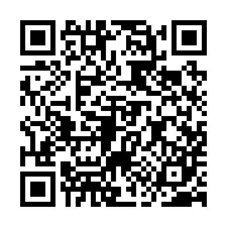 QR code for IC12877