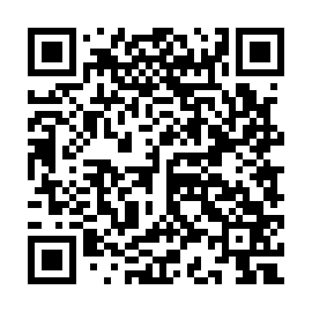 QR code for IC4163