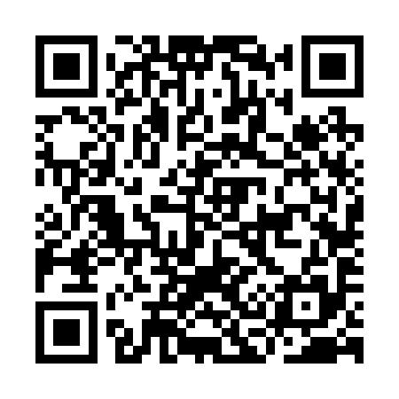 QR code for IC6295