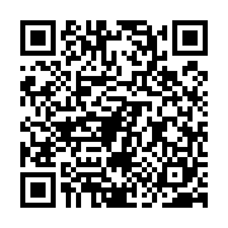 QR code for IC95650