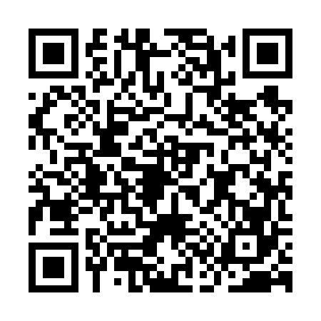 QR code for IC96663