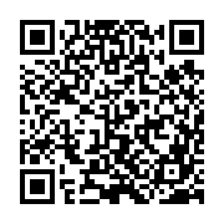 QR code for ICA666