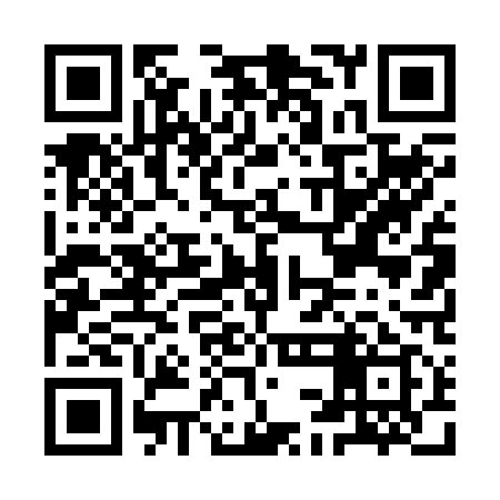 QR code for ICD219