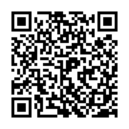 QR code for ICG541