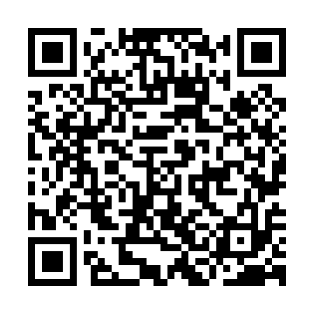 QR code for ICN013