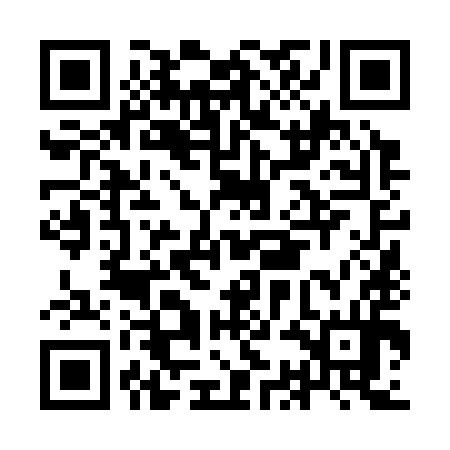 QR code for ICN394