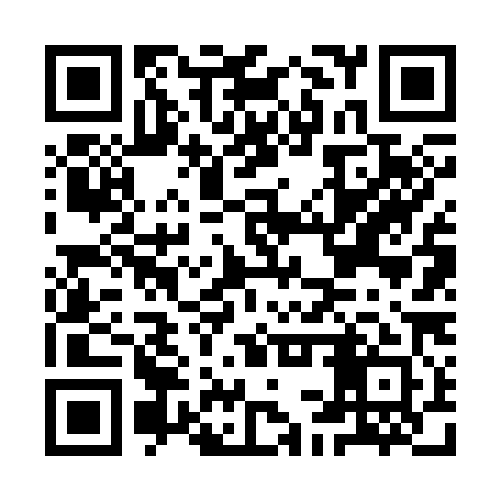 QR code for ICV381
