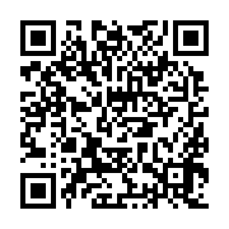 QR code for ICV398