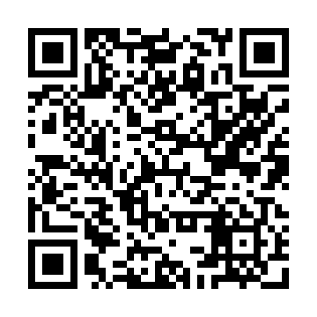 QR code for ICZ009