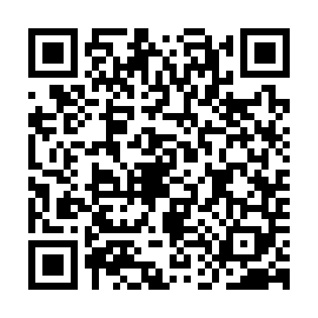 QR code for ID33491