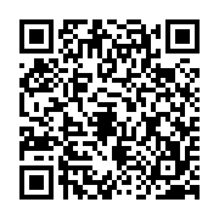 QR code for ID38167