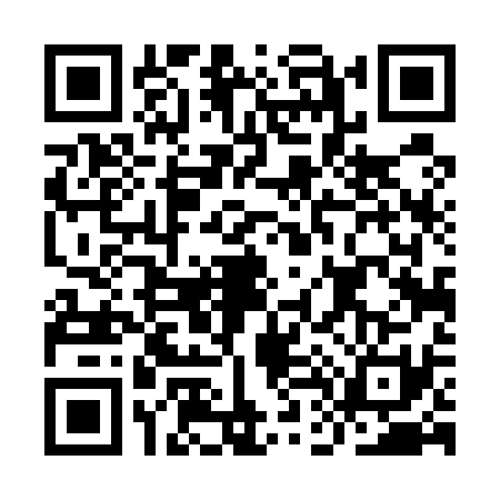 QR code for ID45313
