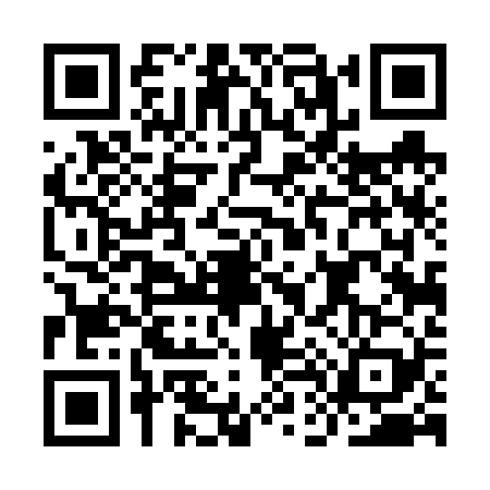 QR code for ID46299