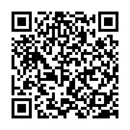 QR code for ID5339
