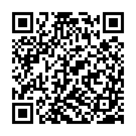QR code for IDE543