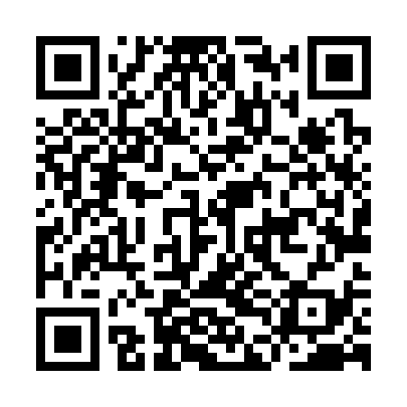 QR code for IDL339