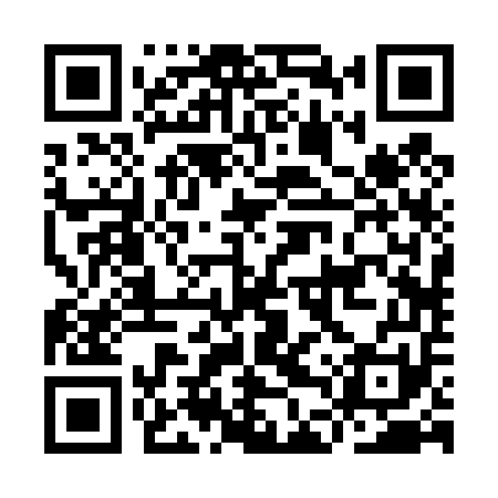 QR code for IDR451
