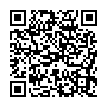 QR code for IE09739