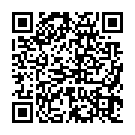 QR code for IE17639