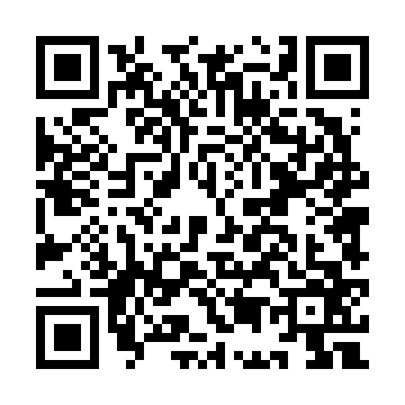 QR code for IE46666