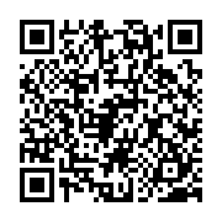 QR code for IE63246