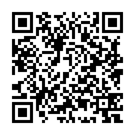 QR code for IE88390