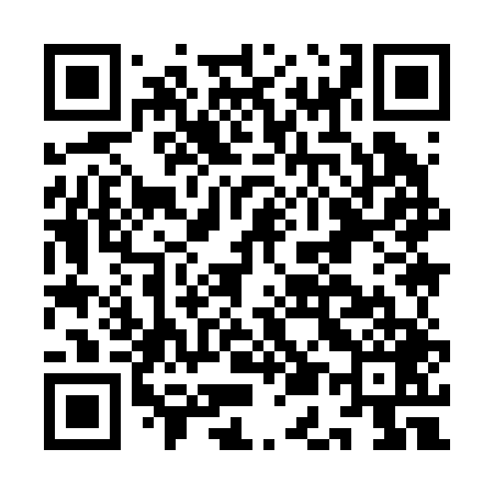 QR code for IE9249