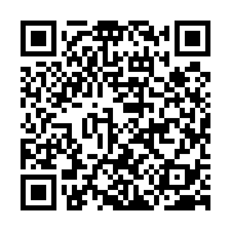 QR code for IE9539