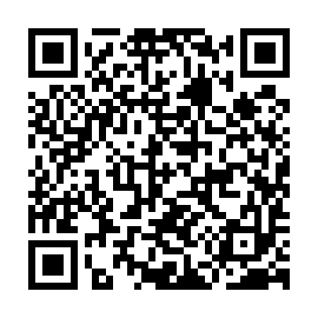 QR code for IE9593