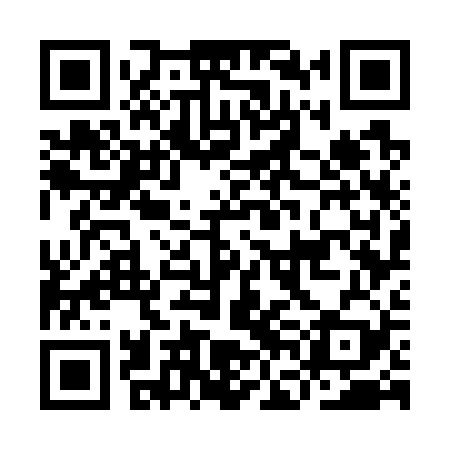 QR code for IFG729
