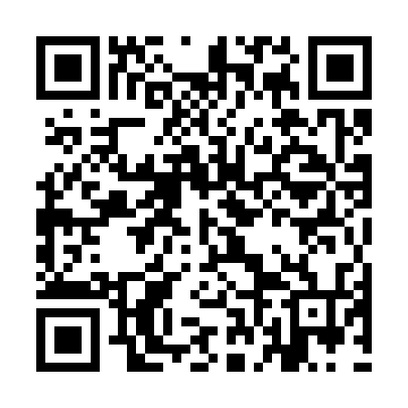 QR code for IFM334