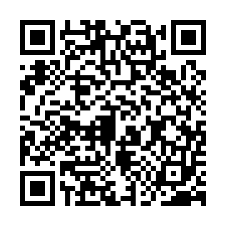 QR code for IG11538